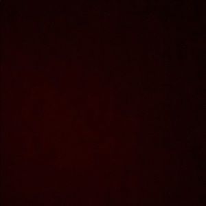 Meet your Posher, Citlali